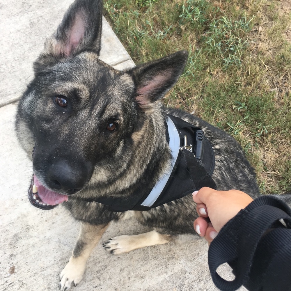 Meet your Posher, Lisa